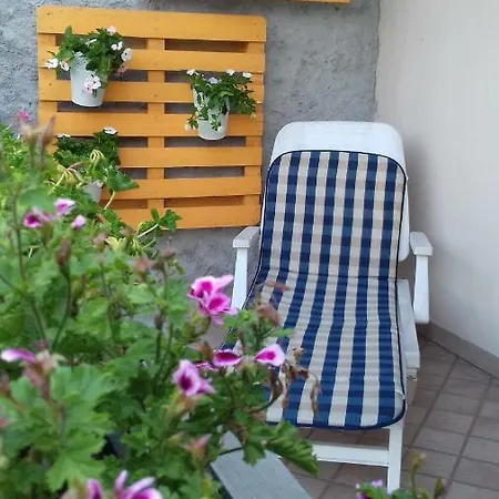 Champion Apartment