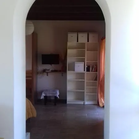 Apartment Champion *